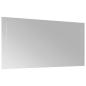 Preview: LED-Badezimmerspiegel Transparent 80 x 40 cm Gehärtetes Glas