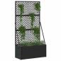 Preview: Garten-Spalier-Pflanzer Schwarz 70 x 30 x 135 cm Metall
