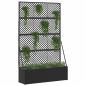 Preview: Garten-Spalier-Pflanzer Schwarz 105 x 30 x 170 cm Metall