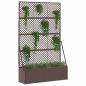Preview: Garten-Spalier-Pflanzer Braun 105 x 30 x 170 cm Metall