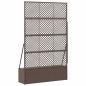 Preview: Garten-Spalier-Pflanzer Braun 105 x 30 x 170 cm Metall