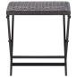 Preview: Klapphocker Poly Rattan Braun