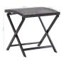 Preview: Klapphocker Poly Rattan Braun