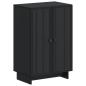 Preview: Schuhschrank EDE 59,5 x 39,5 x 90 cm Holzwerkstoff Schwarz