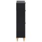 Preview: Schuhschrank ALKMAAR 78 x 24 x 103 cm Holzwerkstoff Schwarz
