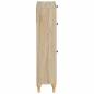 Preview: Schuhschrank ALKMAAR 78 x 24 x 103 cm Holzwerkstoff
