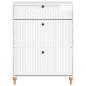 Preview: Schuhschrank ALKMAAR 78 x 24 x 103 cm Holzwerkstoff