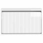 Preview: Wandmontierter Schuhschrank ZWOLLE 71 x 17 x 43 cm