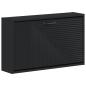 Preview: Wandmontierter Schuhschrank HAARLEM 71 x 17 x 43 cm Schwarz