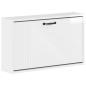 Preview: Wandmontierter Schuhschrank HAARLEM 71 x 17 x 43 cm