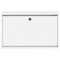 Preview: Wandmontierter Schuhschrank DELFT 71 x 17 x 43 cm Holzwerkstoff