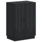 Preview: Schuhschrank HOORN 59,5 x 39,5 x 87 cm Holzwerkstoff Schwarz