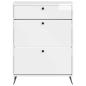 Preview: Schuhschrank BREDA 78 x 24 x 103 cm Holzwerkstoff
