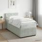 Preview: Boxspringbett mit Matratze und LED Hellgrau 90 x 190 cm Samt