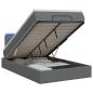 Preview: Ottoman-Bett mit Matratze und LED Dunkelgrau 120 x 200 cm Stoff
