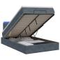 Preview: Ottoman-Bett mit Matratze und LED Dunkelgrau 120 x 190 cm Samt