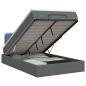 Preview: Ottoman-Bett mit Matratze und LED Dunkelgrau 120 x 190 cm Stoff