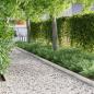 Preview: ARDEBO.de - Rasenrand 1000 x 15 x 0,03 cm Galvanisiertes Stahl Silber