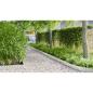 Preview: Rasenrand 1000 x 20 x 0,03 cm Galvanisiertes Stahl Silber