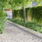 Preview: ARDEBO.de - Rasenrand 1000 x 25 x 0,03 cm Galvanisiertes Stahl Silber