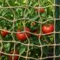 Preview: ARDEBO.de - Jute Pflanzenstütznetz Natur 2 x 25 m 100% Tossa Jute