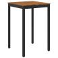 Preview: ARDEBO.de - Gartenbar-Tisch Natürlich und Schwarz 70 x 68,5 x 105 cm