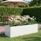 Preview: ARDEBO.de - Garten-Pflanzgefäß Weiß 200 x 80 x 60 cm Kaltgewalzter Stahl