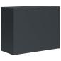 Preview: Aktenschrank Anthrazit 90x40x70 cm Stahl