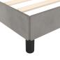 Preview: Bettgestell ohne Matratze Hellgrau 120x190 cm Samt