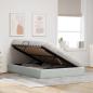 Preview: Aufbewahrungsbett mit Speicher Hellgrau 153 x 203 cm Samt