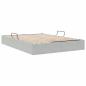 Preview: Aufbewahrungsbett mit Speicher Hellgrau 153 x 203 cm Samt