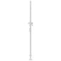 Preview: Gartentor mit Schloss Silber 85 x 196 cm Edelstahl