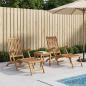 Preview: ARDEBO.de - Faltbarer Deckstuhl 2 pcs Natur Massivholz Teak
