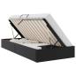 Preview: Ottoman Bettgestell mit Speicher Schwarz 90 x 200 cm Kunstleder