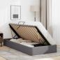 Preview: Ottoman Bettgestell mit Speicher Grau 100 x 200 cm Kunstleder