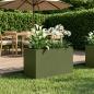 Preview: ARDEBO.de - Garten-Pflanzgefäß Olivgrün 60 x 40 x 40 cm Kaltgewalzter Stahl