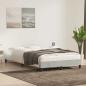 Preview: Bettgestell ohne Matratze Hellgrau 120x220 cm Samt