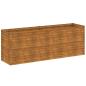 Preview: Garten-Hochbeet 196 x 50 x 69 cm Cortenstahl
