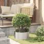 Preview: Pflanzenring 5 Stk. Silber 40 x 40 x 20 cm Edelstahl