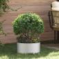 Preview: ARDEBO.de - Pflanzenring 5 Stk. Silber 40 x 40 x 20 cm Verzinkter Stahl