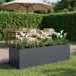 Preview: ARDEBO.de - Garten-Pflanzgefäß Anthrazit 200 x 80 x 60 cm