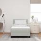 Preview: Boxspringbett mit Kopfteil Hellgrau 80 x 200 cm Samt