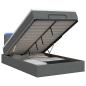 Preview: Ottoman-Bett mit Matratze und LED Dunkelgrau 120 x 190 cm Stoff