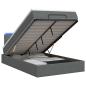 Preview: Ottoman-Bett mit Matratze und LED Dunkelgrau 120 x 190 cm Stoff