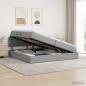 Preview: ARDEBO.de - Aufbewahrungsbett mit Matratze Hellgrau 200 x 200 cm Samt