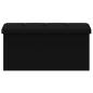 Preview: Klappbare Aufbewahrungsbank Schwarz 180 kg 80 L 77 x 38 x 38 cm