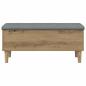 Preview: Aufbewahrungsbank mit Kissen Artisan-Eiche 102 x 42 x 46 cm