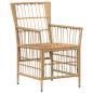 Preview: Gartenst?hle 2 stk. Natur PE Rattan, Stahl und Polyesterstoff