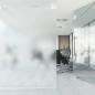 Preview: Fensterfolien 5 Stk. Statisch Mattgrau PVC