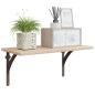 Preview: Wandregalhalterungen 2 stk. Antikbraun 14,5 x 14,5 x 3,5 cm